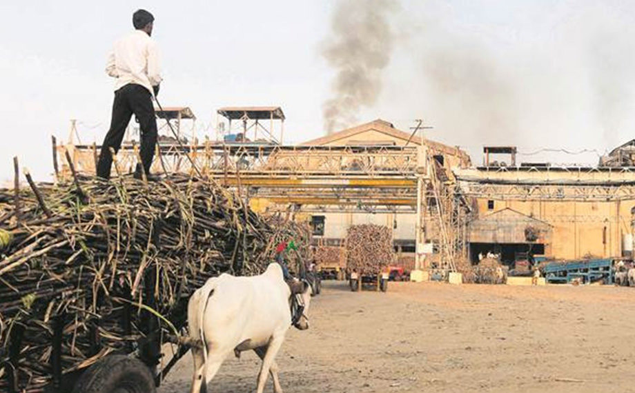 UP’s Five Co-op Sugar Mills Bag National Awards